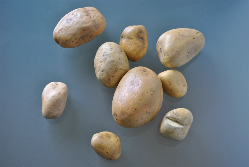 25_kilo_Kartoffeln_2013_Sieine_bemaltGrosse_variabel