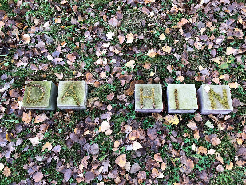 DA_HIN