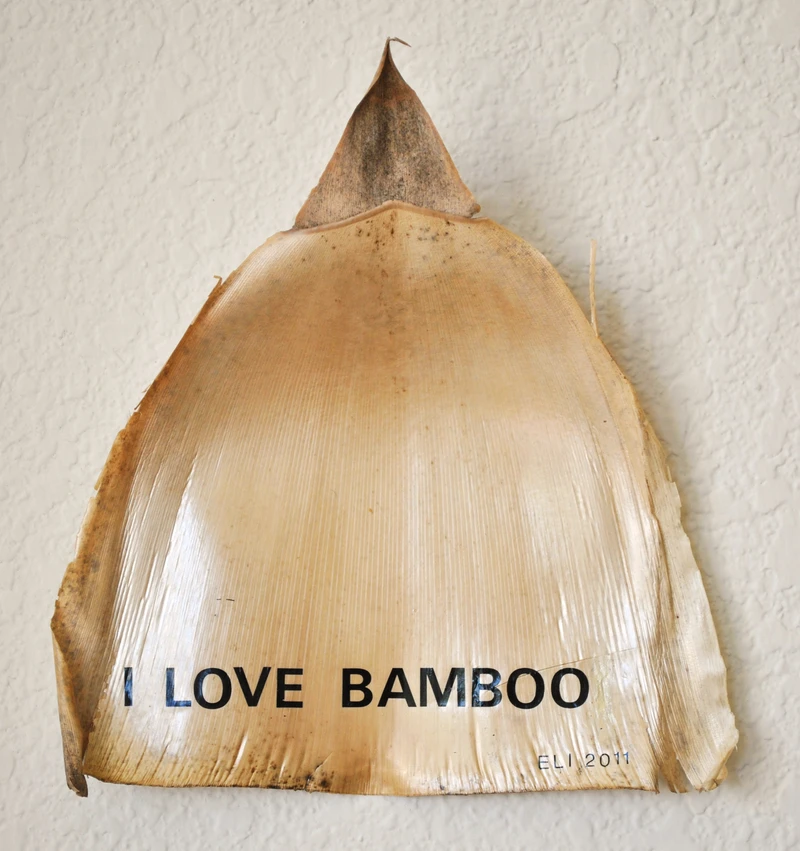 I_love_Bamboo2011_Bambusblatt_Abriebbuchstaben18x25cm